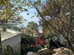 -绿城千岛湖喜来登度假酒店