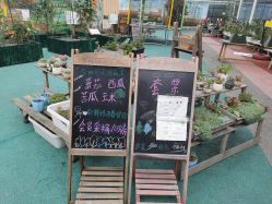 -梦田都市农场(银泰城店)