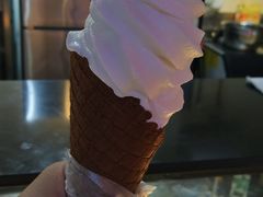 -老香港蛋糕