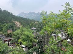 -老张烤羊(王哥庄店)