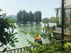 -东湖食堂·湖景餐厅•会议