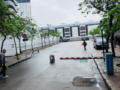 -九龙公园