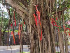 -飞霞风景名胜区