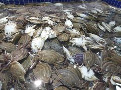 螃蟹-渔夫海鲜自助