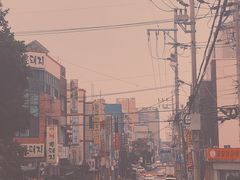 -真情鲍鱼海鲜汤