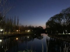 -大兴滨河森林公园