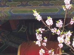 -云峰山自然风景区