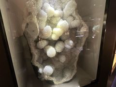 -河南自然博物馆