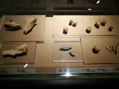 -烟台市博物馆