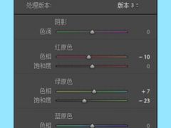-BUS TOUR观光巴士