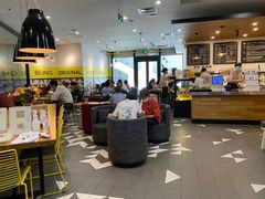 大堂-油梨树 AVOCADO TREE(亮马桥店)