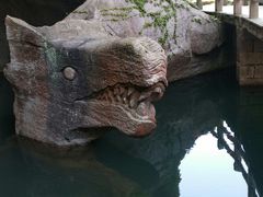 -蛇蟠岛