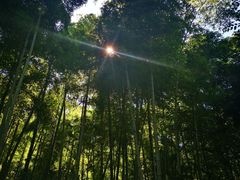 -山沟沟景区
