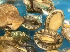 -海草馆自助餐厅(悦海店)