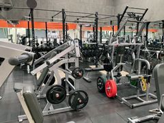 -健身专家Wellness Experts