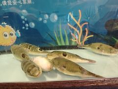 -肆月河豚·淮扬菜·湘菜(华天店)