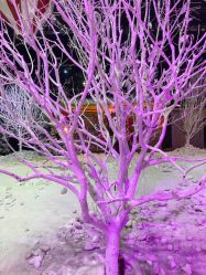 -圣名游乐城冰雪大世界