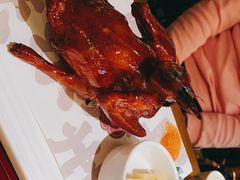 -大鸽饭(岗顶店)