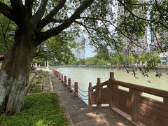 -成都市活水公园
