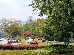 -金海湾滨江公园