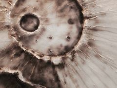 -FULL MOON满月咖啡