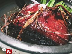 -桂满陇天书(南京德基旗舰店)