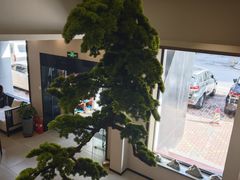 -正清和·推拿养生(二七广场店)