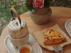 -自由生长植物工作室(深港花卉中心店)
