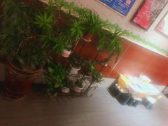 -小六汤包砂煲菜(文景路店)