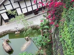 -燊海井