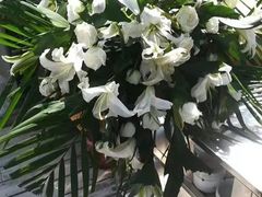 -阳光家常菜游客餐厅(千佛山店)