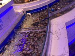 -澜悦港海鲜体验主题餐厅