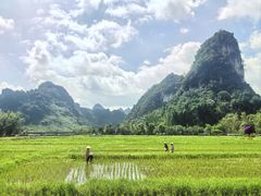 -靖西鹅泉风景区