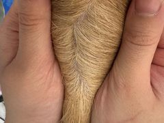 -老吴的猫·猫舍(新区店)