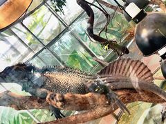 -南宫五洲植物乐园