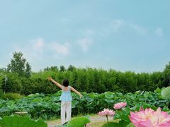 -池杉湖湿地公园
