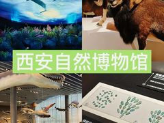 -陕西历史博物馆