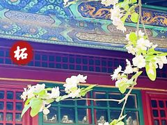 -潭柘寺景区