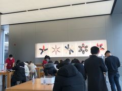 -Apple零售店(成都太古里店)