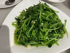 -华盛丰温州大排档(东三环南路店)