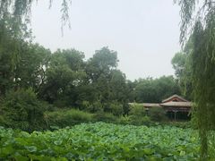 -勺园中餐厅