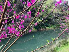 -常德桃花源景区