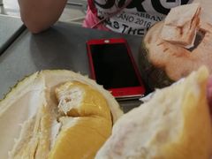 -都念榴莲·城市榴莲