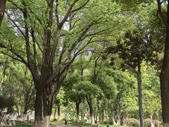 -汉水公园