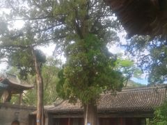 -窦大夫祠
