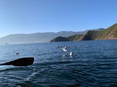 -丽江泸沽湖景区