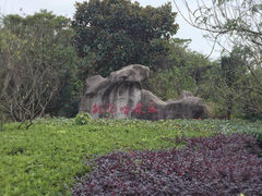 -桃花岛风景旅游区
