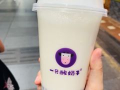 -一只酸奶牛(八一路店)