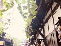 -陈建平麻花(磁器口总店)
