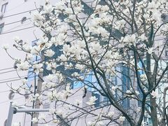-陆家浜路(地铁站)